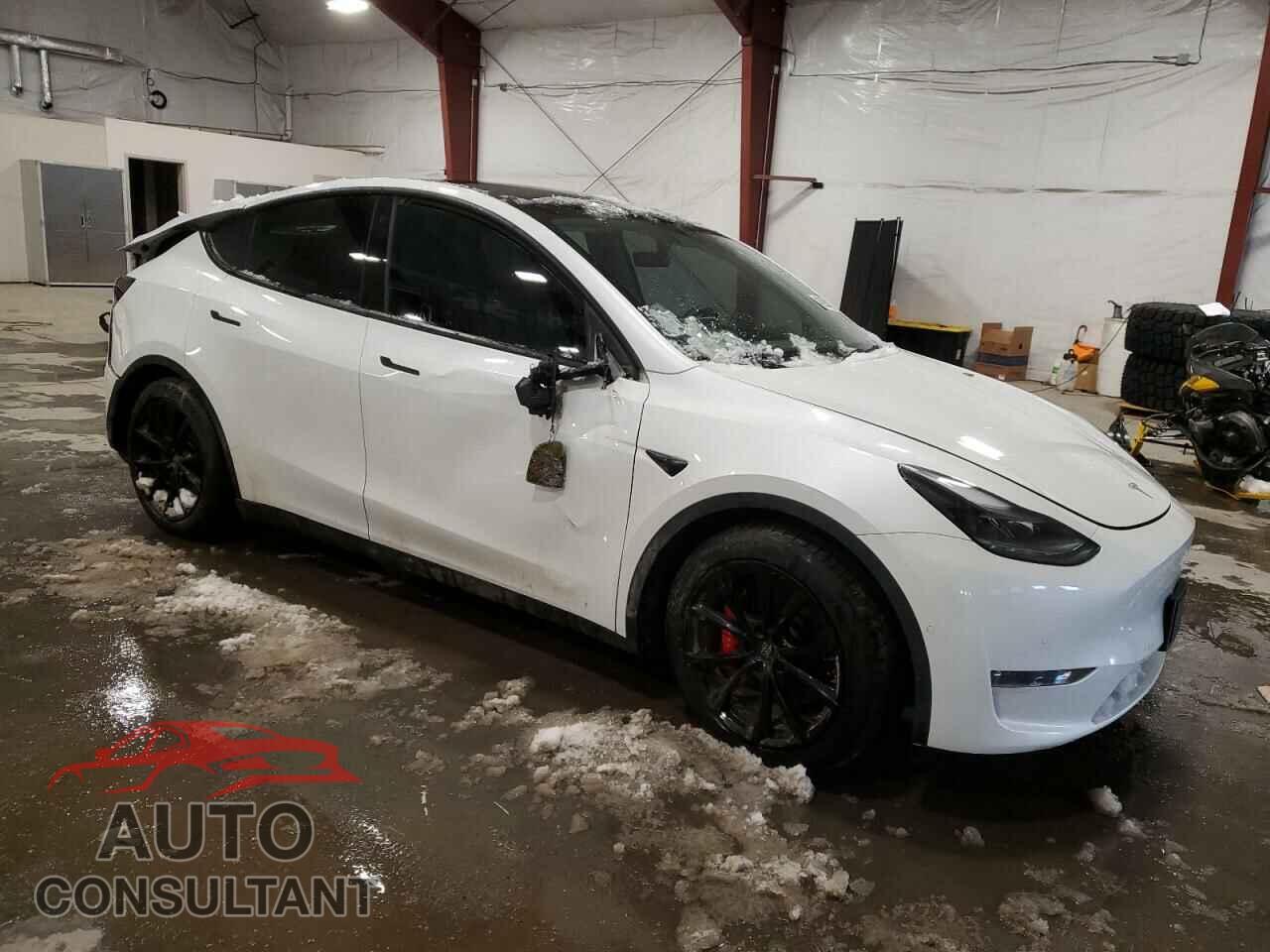 TESLA MODEL Y 2022 - 7SAYGDEF0NF377698