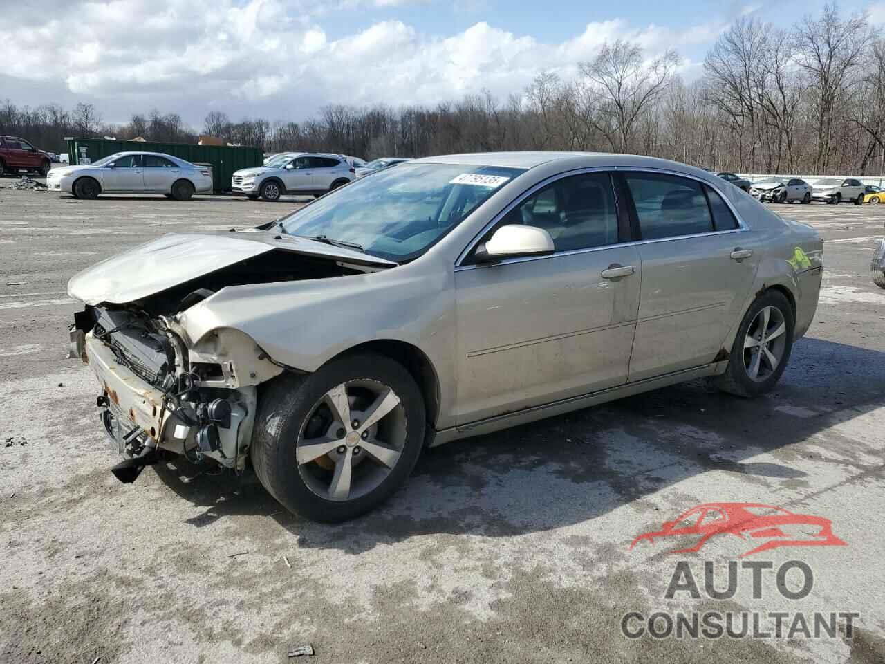 CHEVROLET MALIBU 2011 - 1G1ZC5E14BF211370