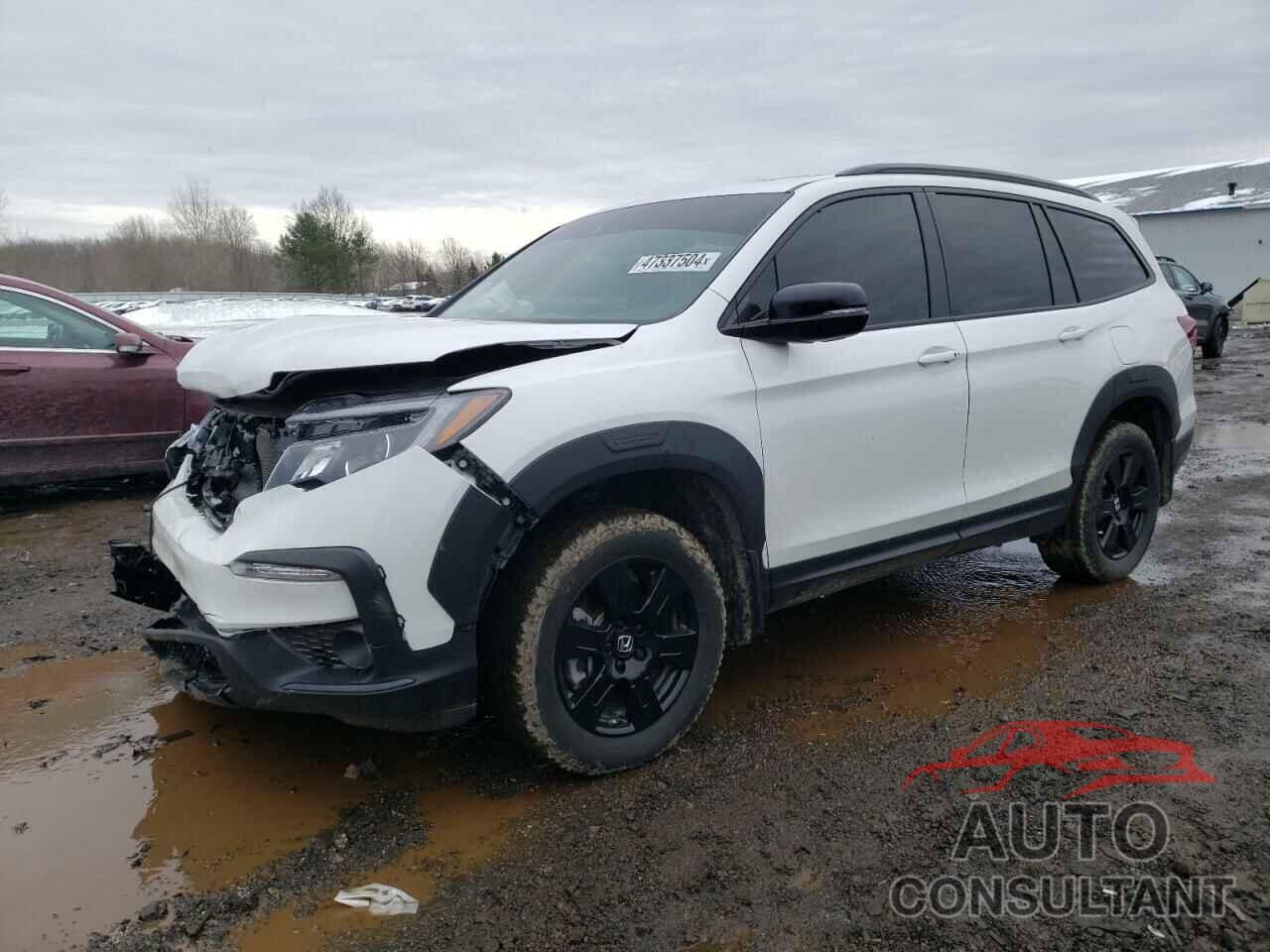 HONDA PILOT 2022 - 5FNYF6H84NB094343