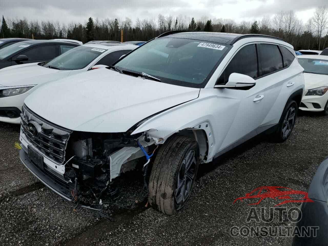 HYUNDAI TUCSON 2023 - KM8JCCA19PU136601