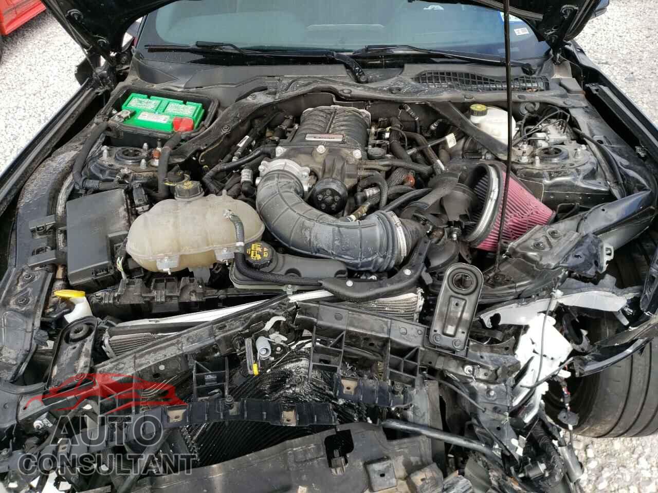 FORD MUSTANG 2019 - 1FA6P8CF9K5185388