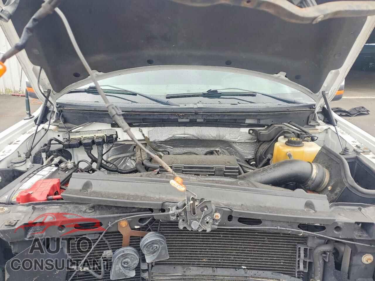 FORD F150 2013 - 1FTFW1EF7DFD93896