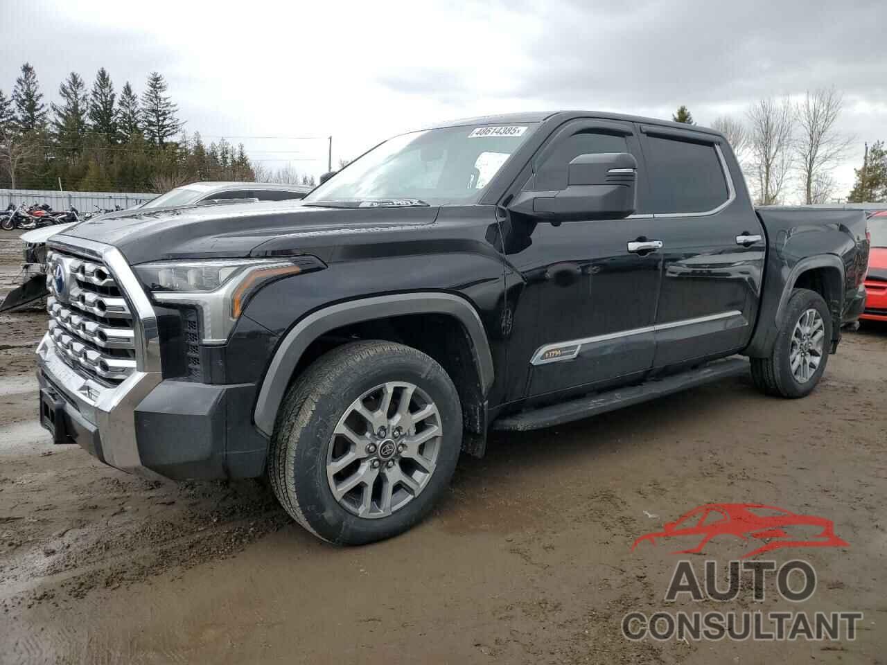 TOYOTA TUNDRA 2022 - 5TFMC5DB1NX012075
