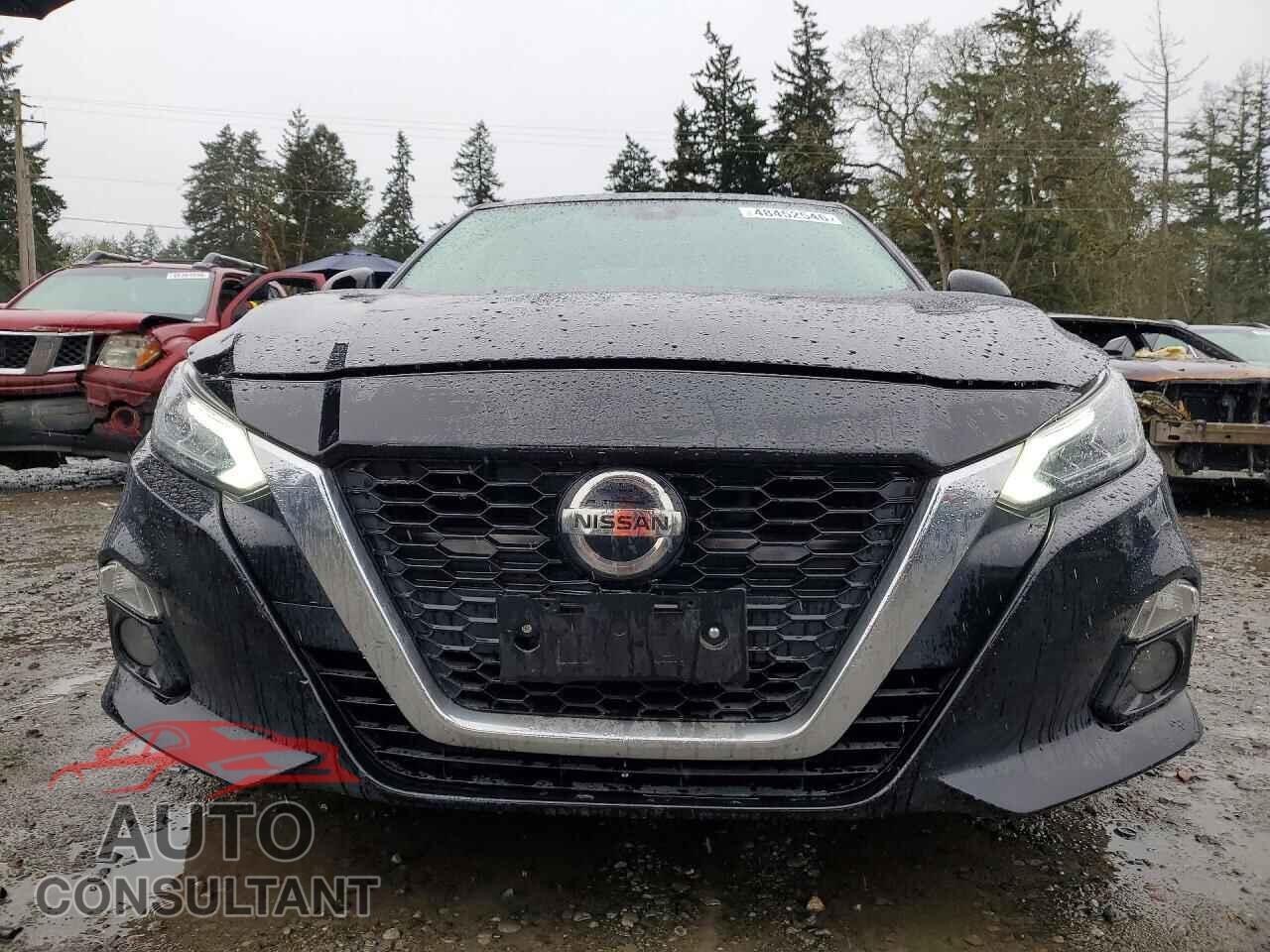 NISSAN ALTIMA 2019 - 1N4BL4EVXKC190845