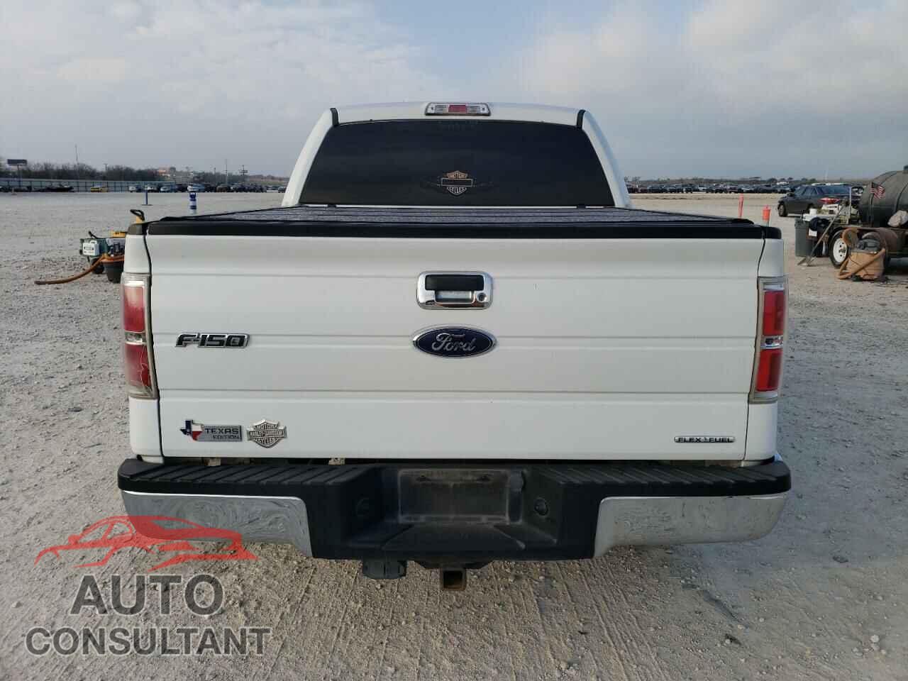 FORD F-150 2013 - 1FTFW1CF0DFD81950