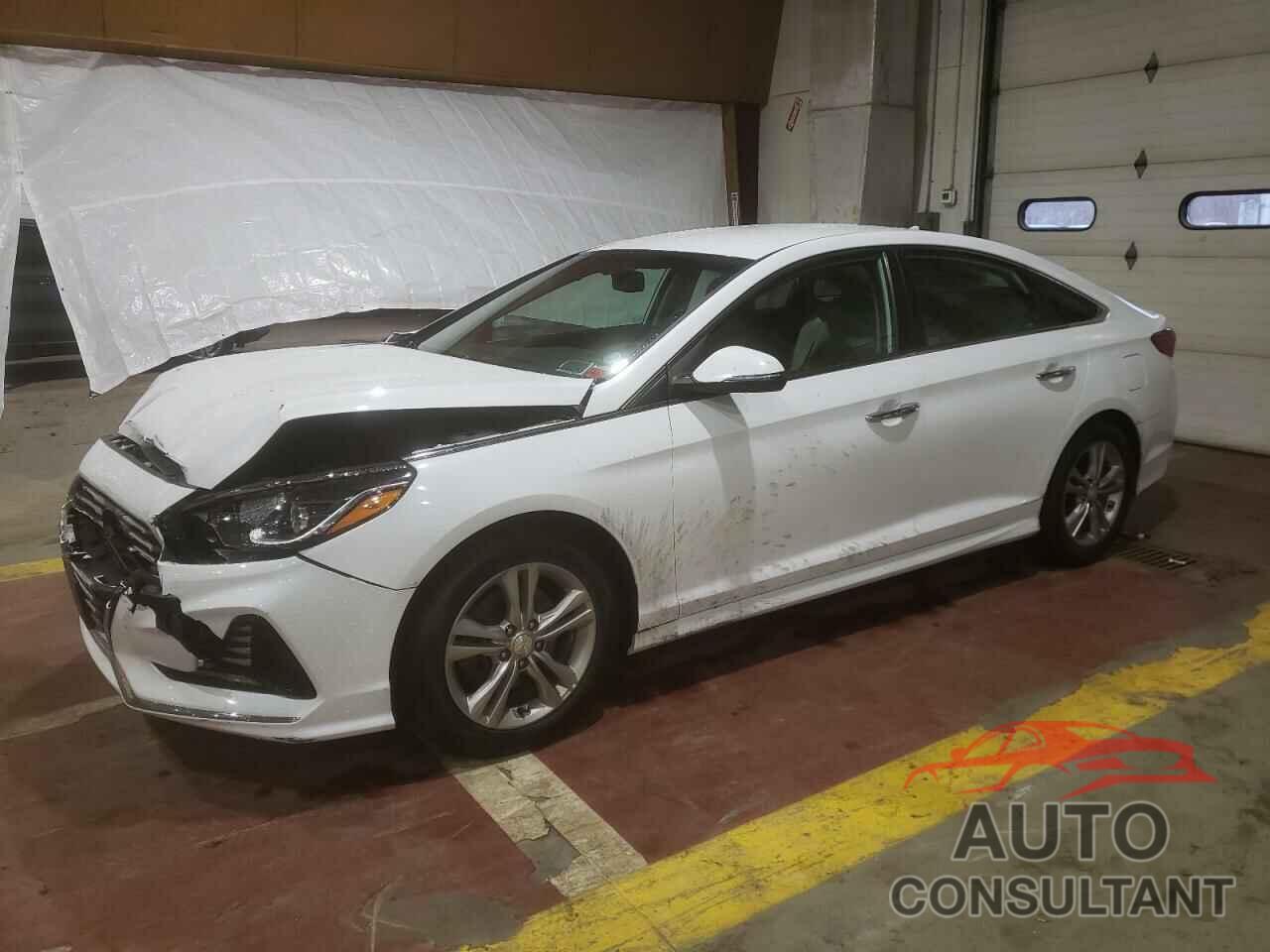 HYUNDAI SONATA 2018 - 5NPE34AF1JH642500