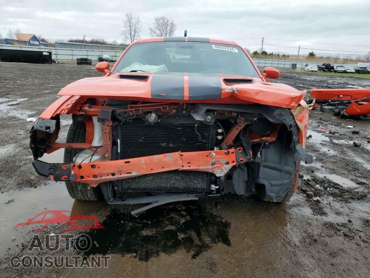 DODGE CHALLENGER 2019 - 2C3CDZGG7KH544684