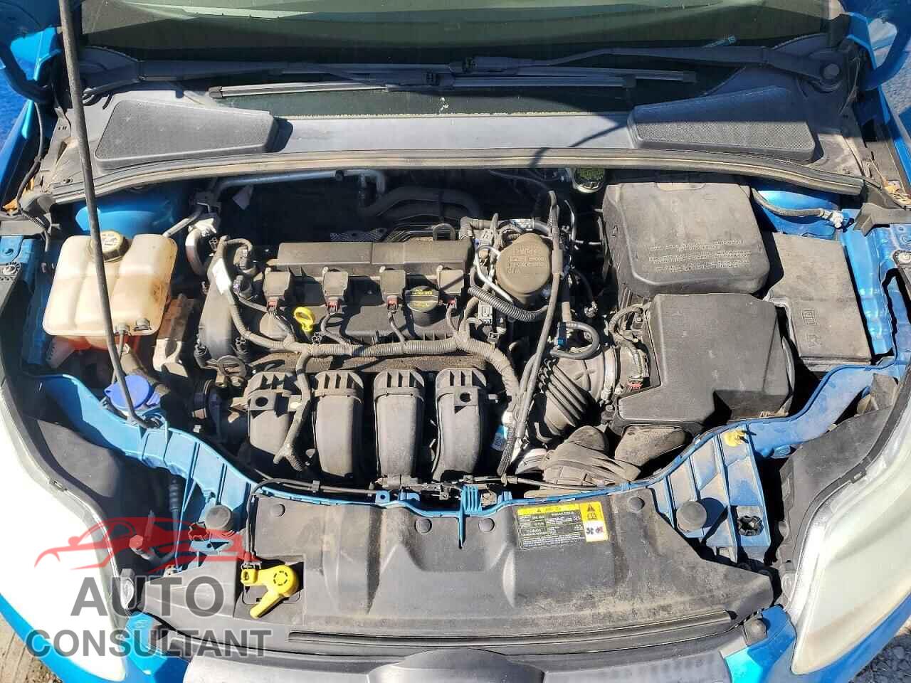 FORD FOCUS 2013 - 1FADP3F22DL198601