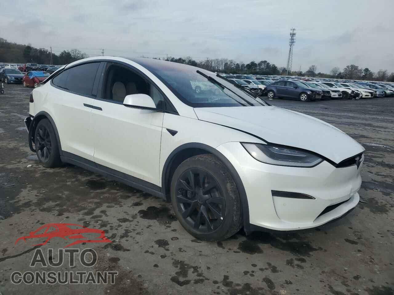 TESLA MODEL X 2022 - 7SAXCAE59NF358676