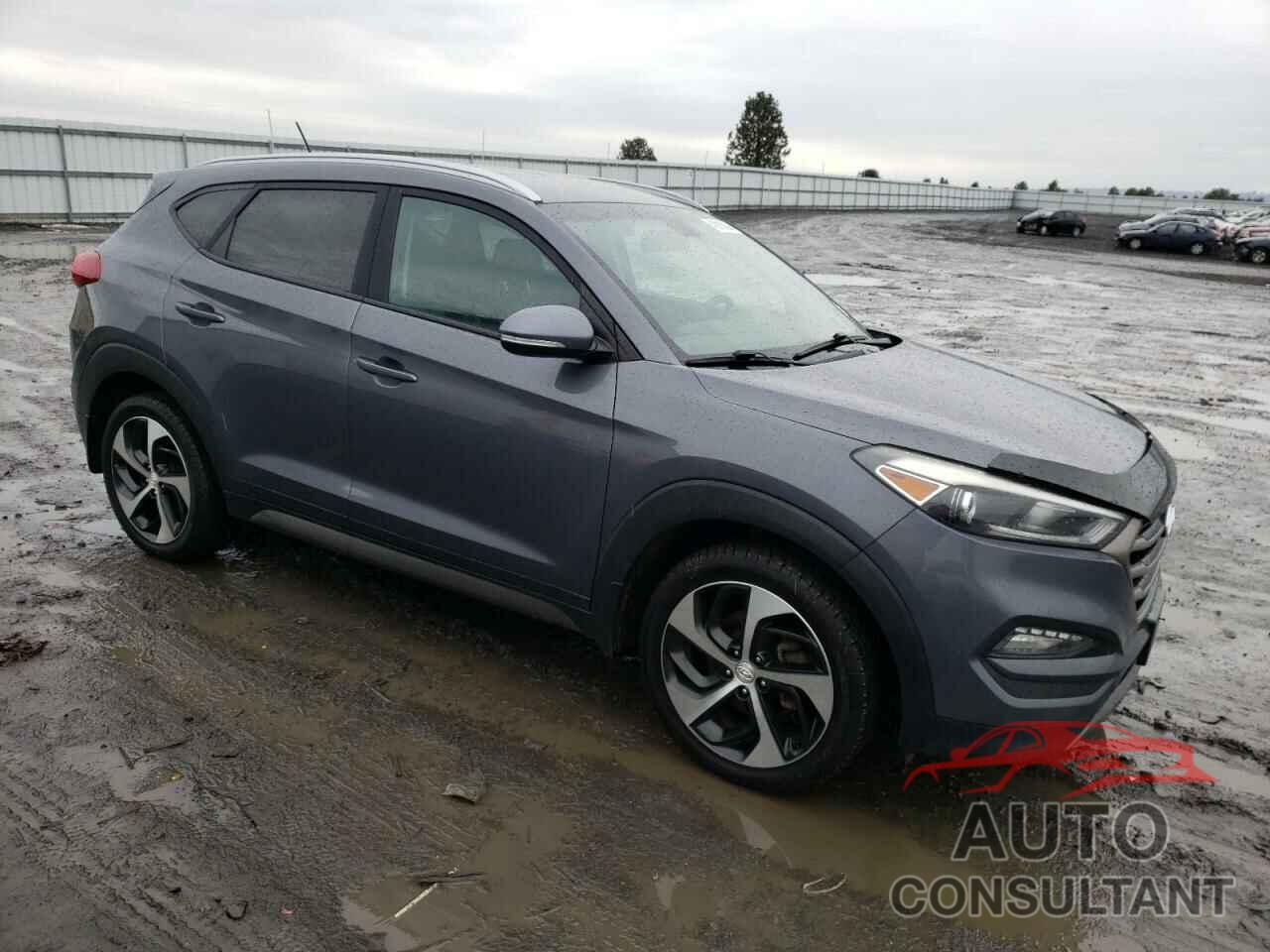 HYUNDAI TUCSON 2016 - KM8J3CA28GU235953