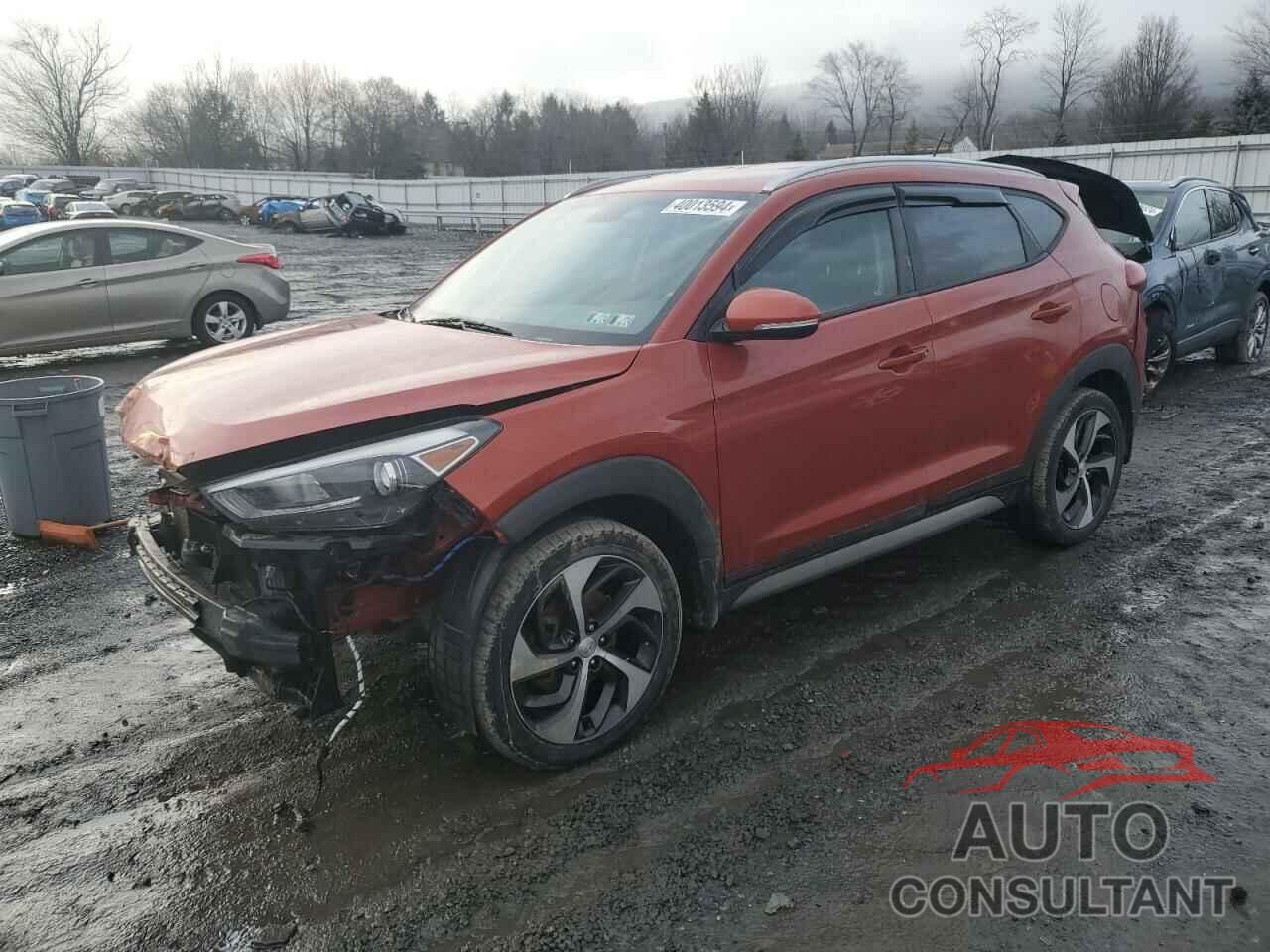 HYUNDAI TUCSON 2017 - KM8J3CA26HU312370