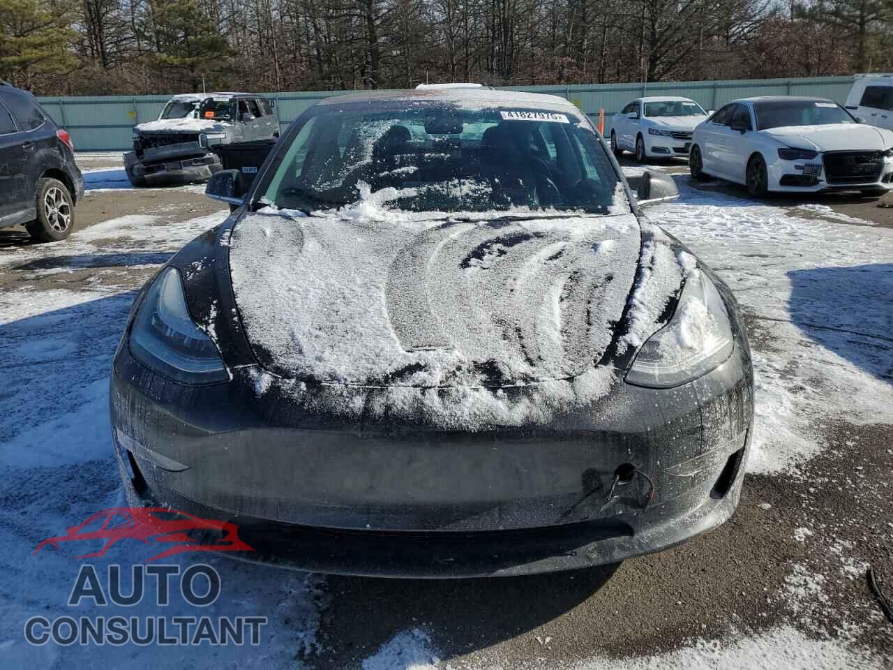 TESLA MODEL 3 2018 - 5YJ3E1EA7JF172857