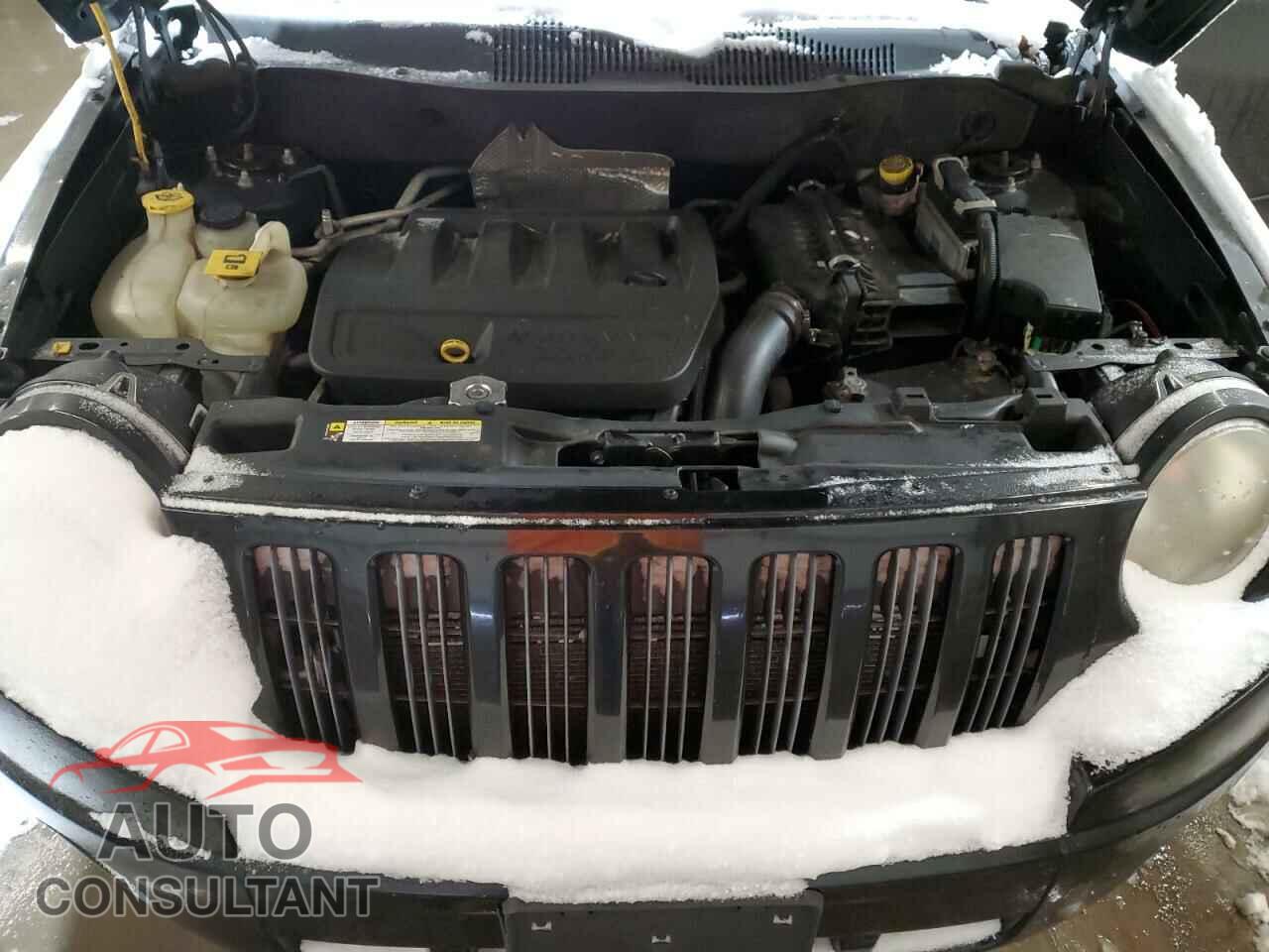 JEEP COMPASS 2009 - 1J4FF47B49D219695