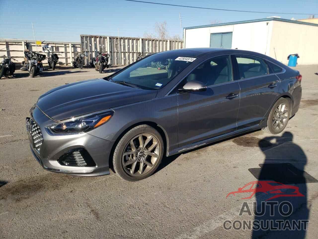 HYUNDAI SONATA 2019 - 5NPE34AB5KH771872