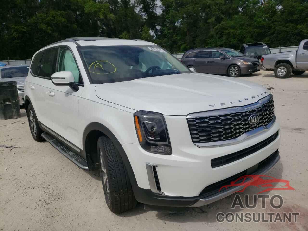 KIA TELLURIDE 2020 - 5XYP34HCXLG081664