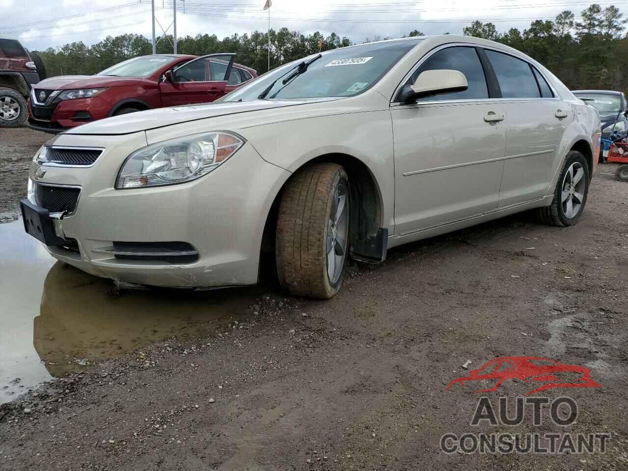 CHEVROLET MALIBU 2011 - 1G1ZC5E17BF173147