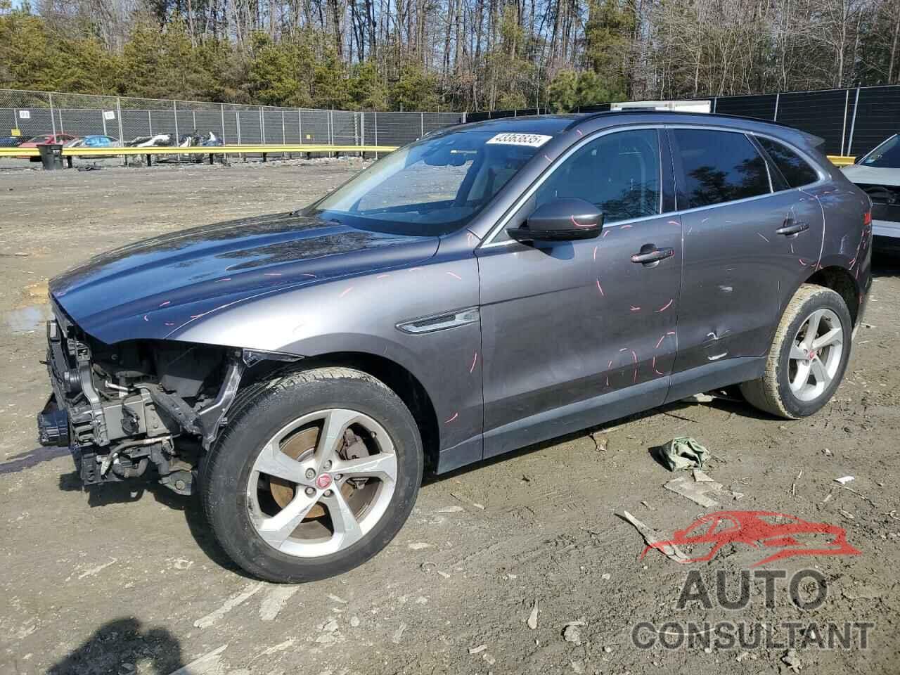 JAGUAR F-PACE 2019 - SADCJ2FX2KA396248