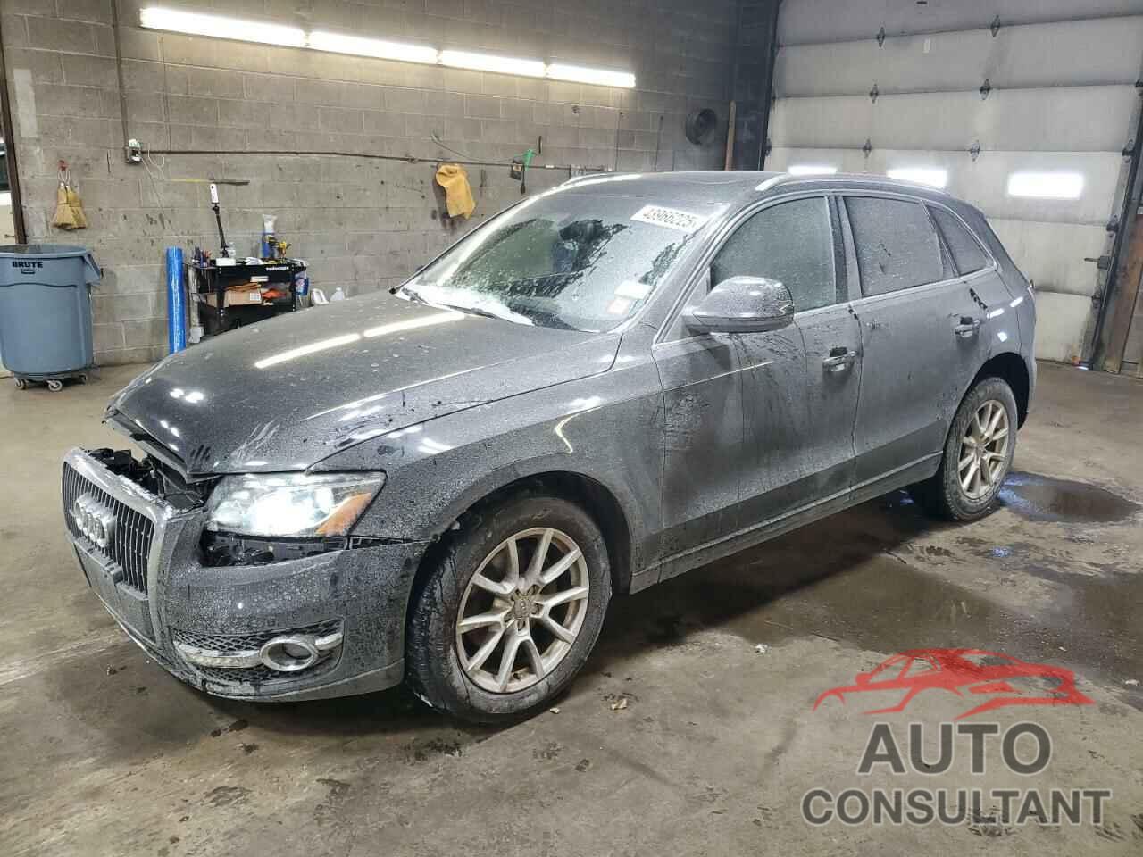 AUDI Q5 2010 - WA1LKAFP2AA014151