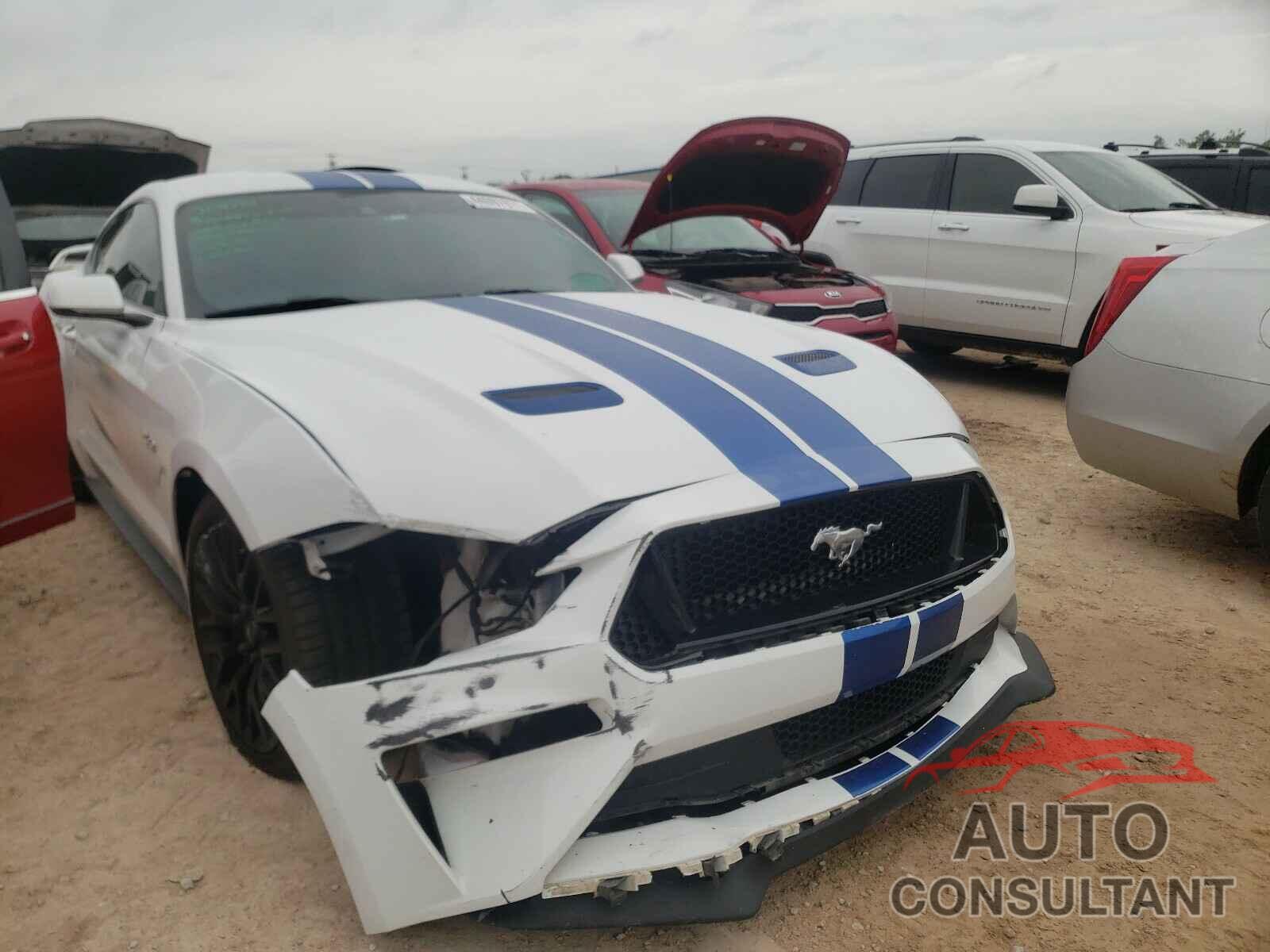 FORD MUSTANG 2019 - 1FA6P8CF1K5135892