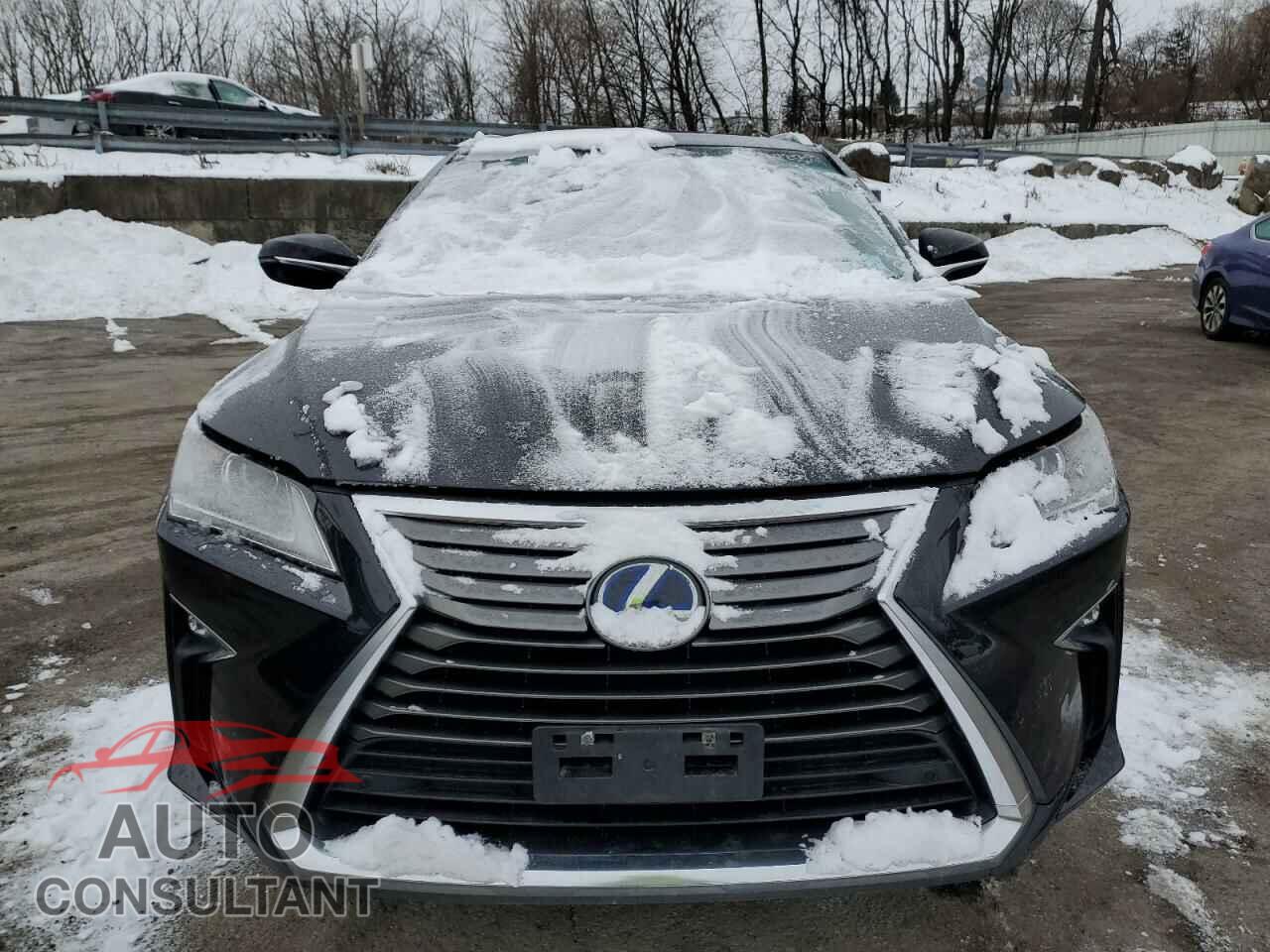 LEXUS RX450 2018 - 2T2BGMCA7JC023598