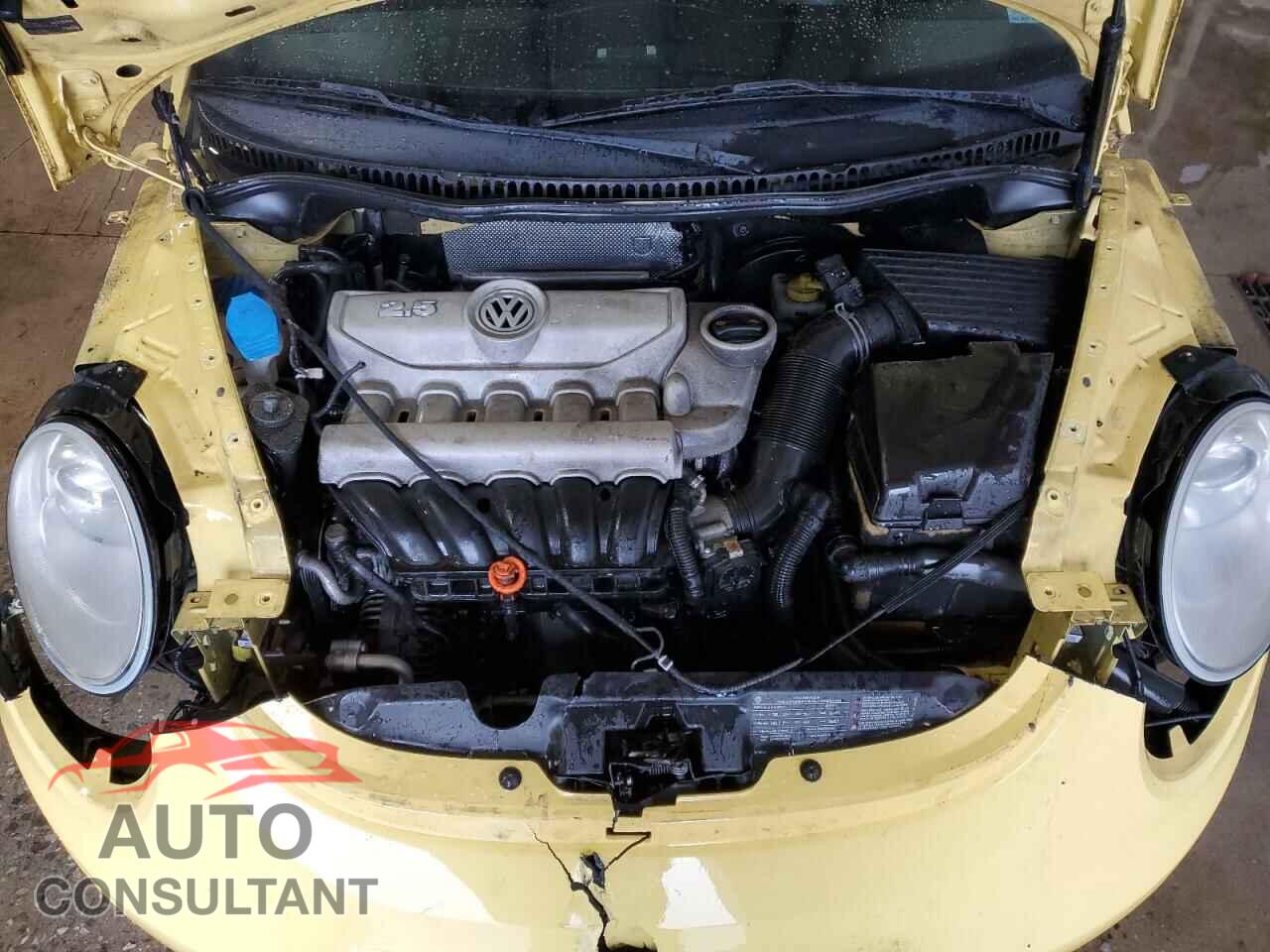 VOLKSWAGEN BEETLE 2009 - 3VWPW31C19M500473