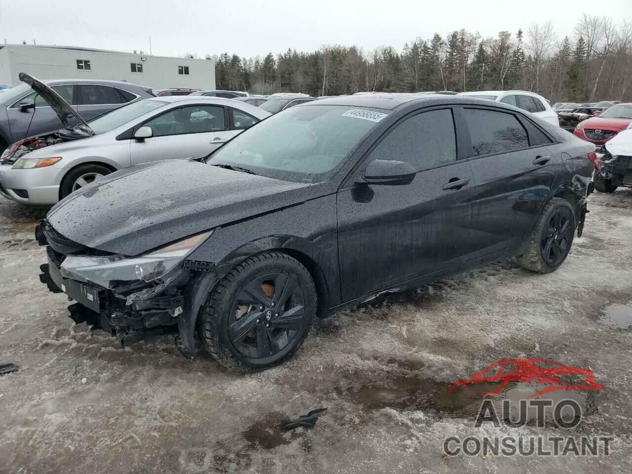 HYUNDAI ELANTRA 2023 - KMHLM4AG8PU569200