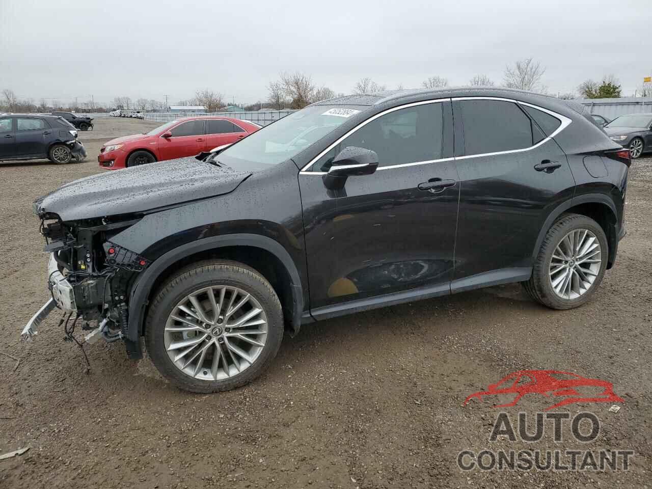 LEXUS NX 350H BA 2024 - 2T2GKCEZ0RC028221