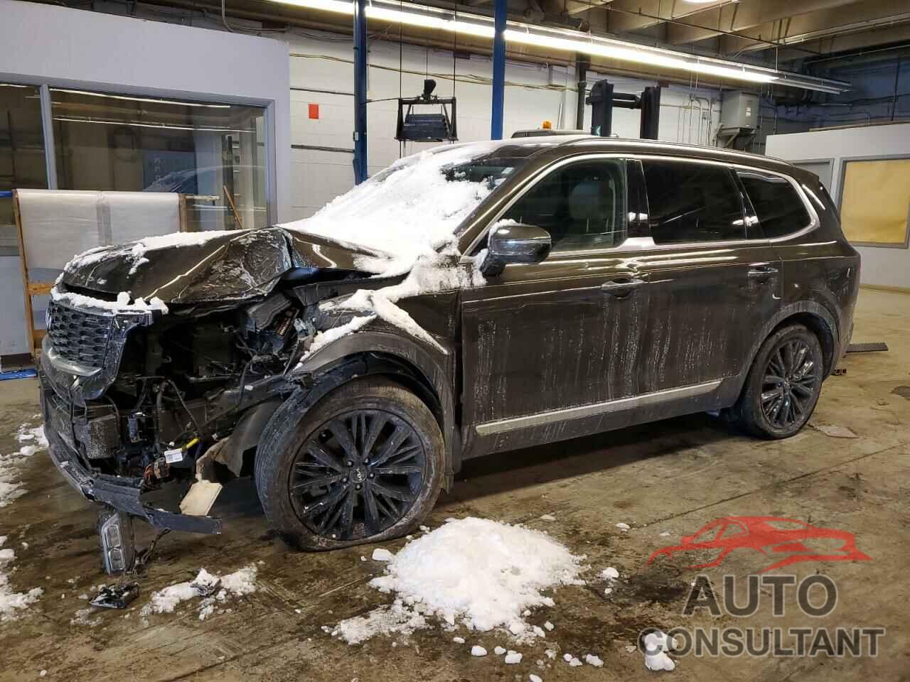 KIA TELLURIDE 2022 - 5XYP5DHC2NG235782