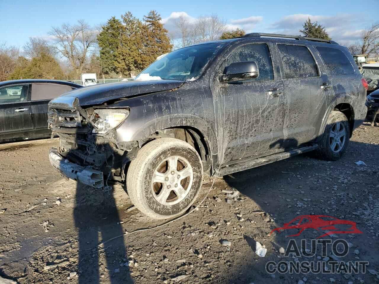 TOYOTA SEQUOIA 2011 - 5TDZY5G16BS031667