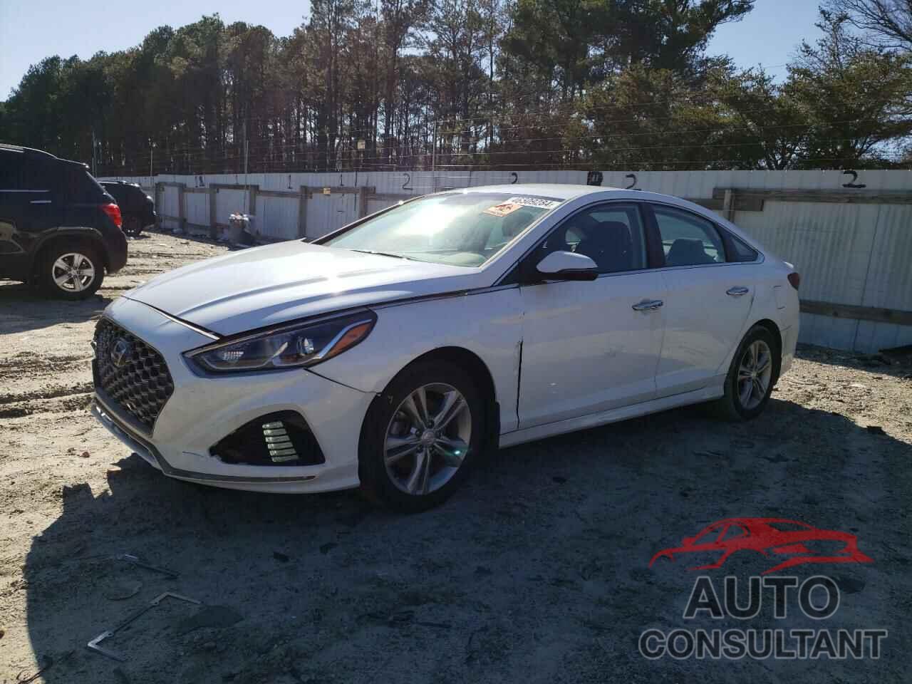 HYUNDAI SONATA 2019 - 5NPE34AF4KH790934