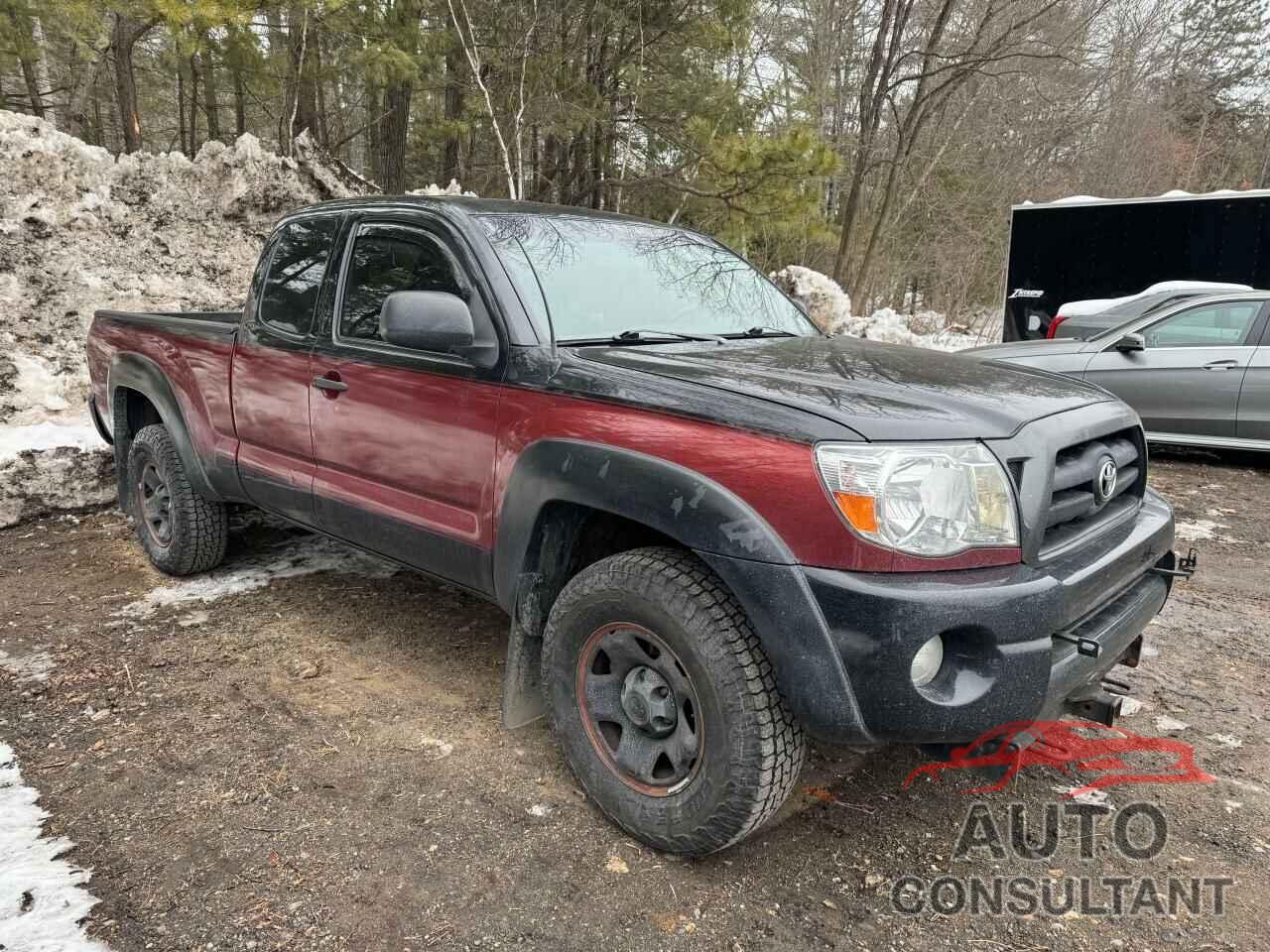 TOYOTA TACOMA 2009 - 5TEUX42N29Z644285