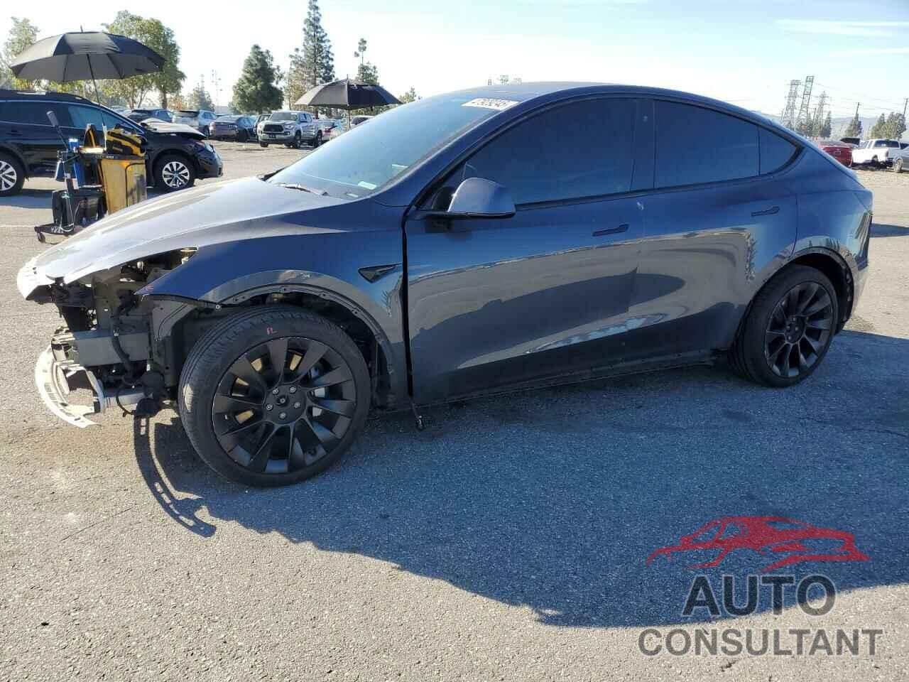 TESLA MODEL Y 2021 - 5YJYGDEE6MF092393