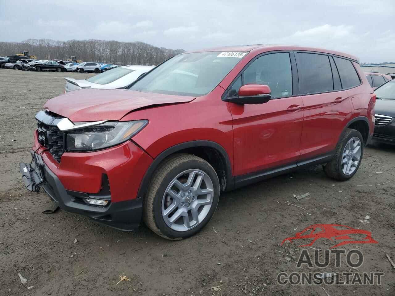 HONDA PASSPORT 2024 - 5FNYF8H52RB010348