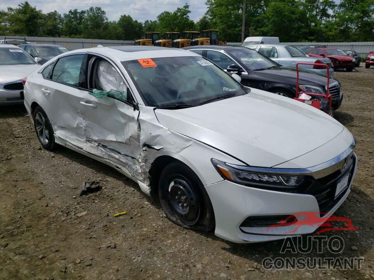 HONDA ACCORD 2019 - 1HGCV1F46KA176340
