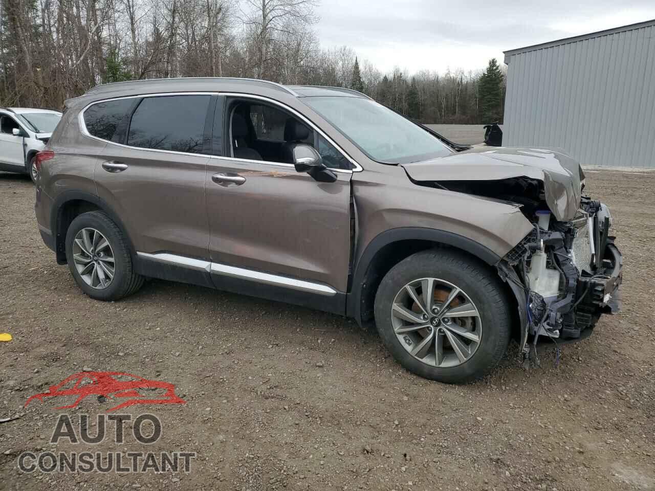 HYUNDAI SANTA FE 2019 - 5NMS3CAA9KH024471