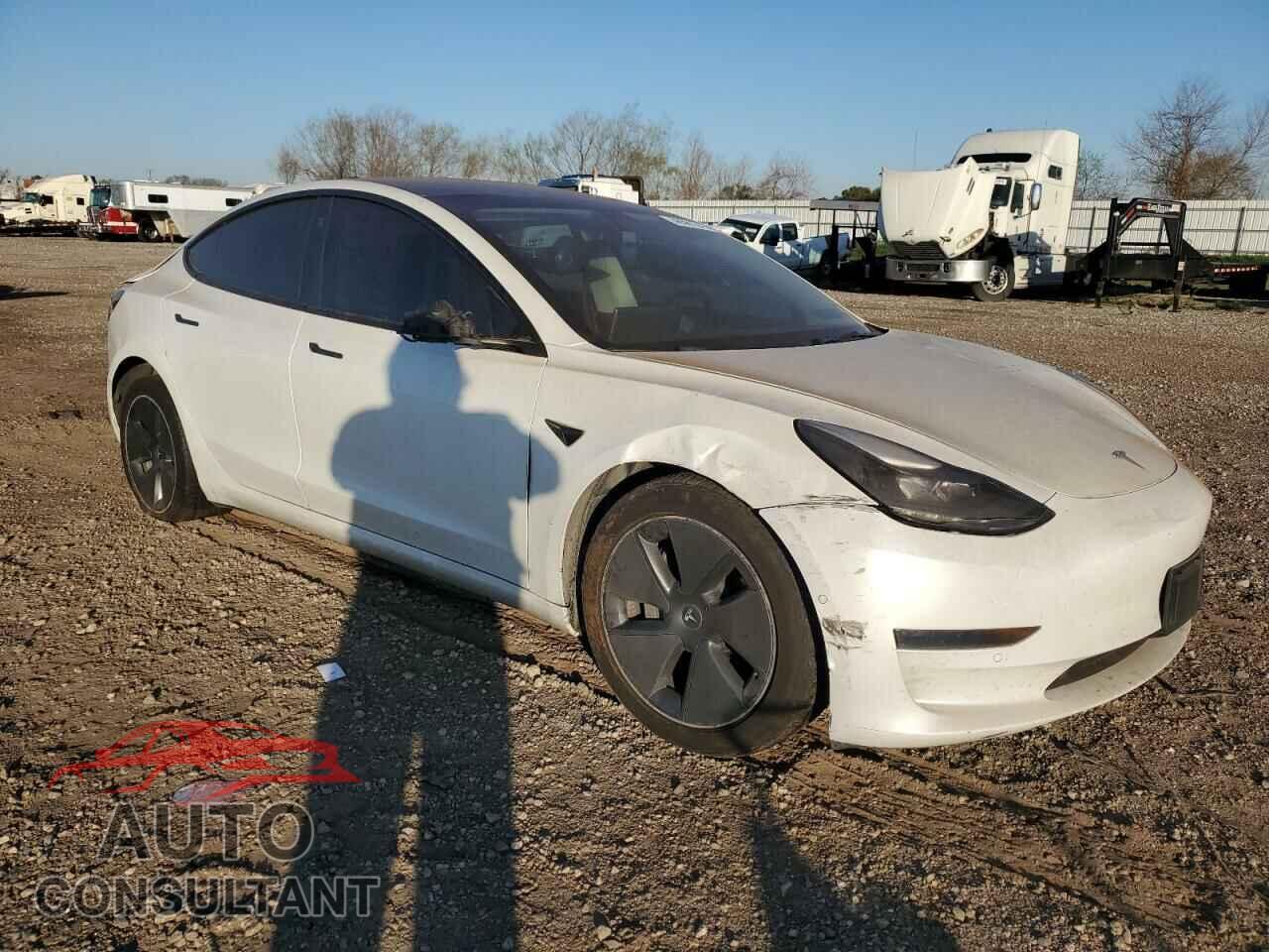 TESLA MODEL 3 2021 - 5YJ3E1EA9MF100403