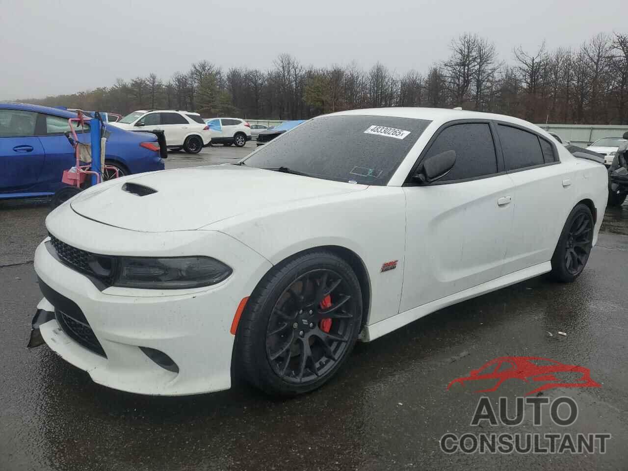 DODGE CHARGER 2019 - 2C3CDXGJ9KH546713