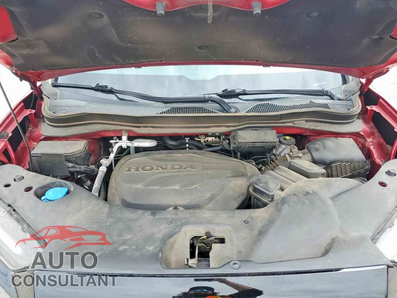 HONDA RIDGELINE 2021 - 5FPYK3F1XMB015876