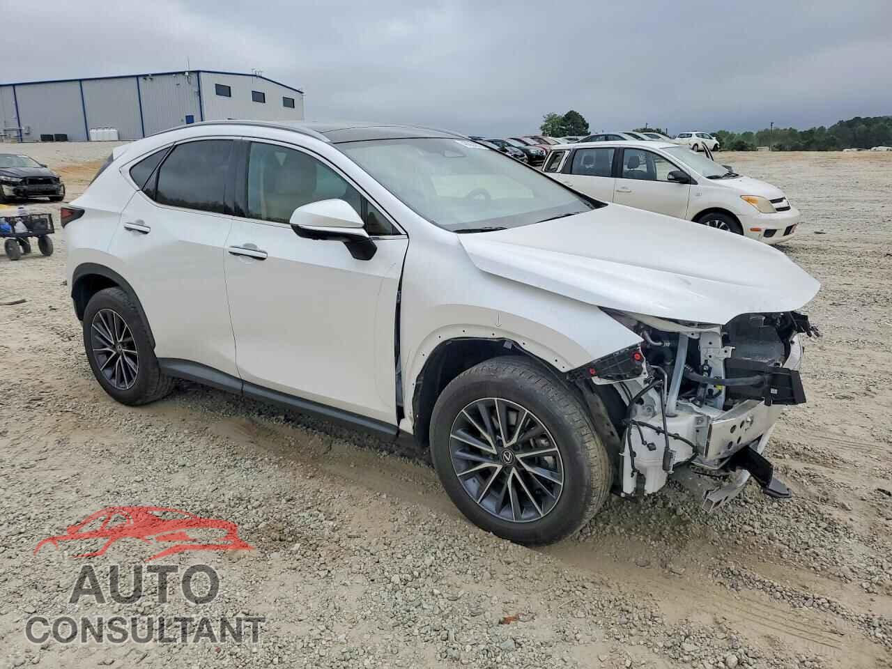 LEXUS NX 2025 - 2T2HKCEZ8SC042247