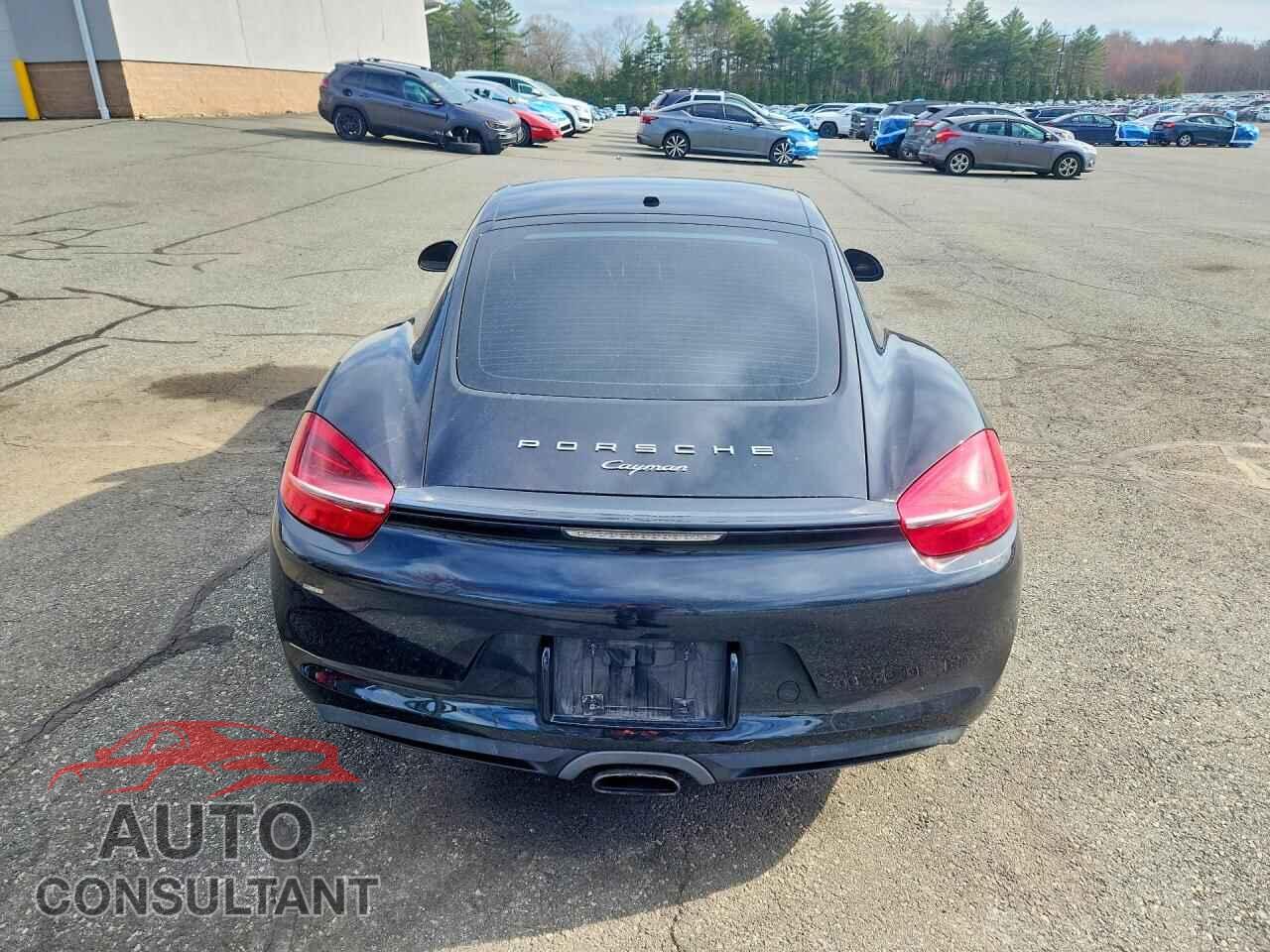 PORSCHE CAYMAN 2014 - WP0AA2A85EK170576