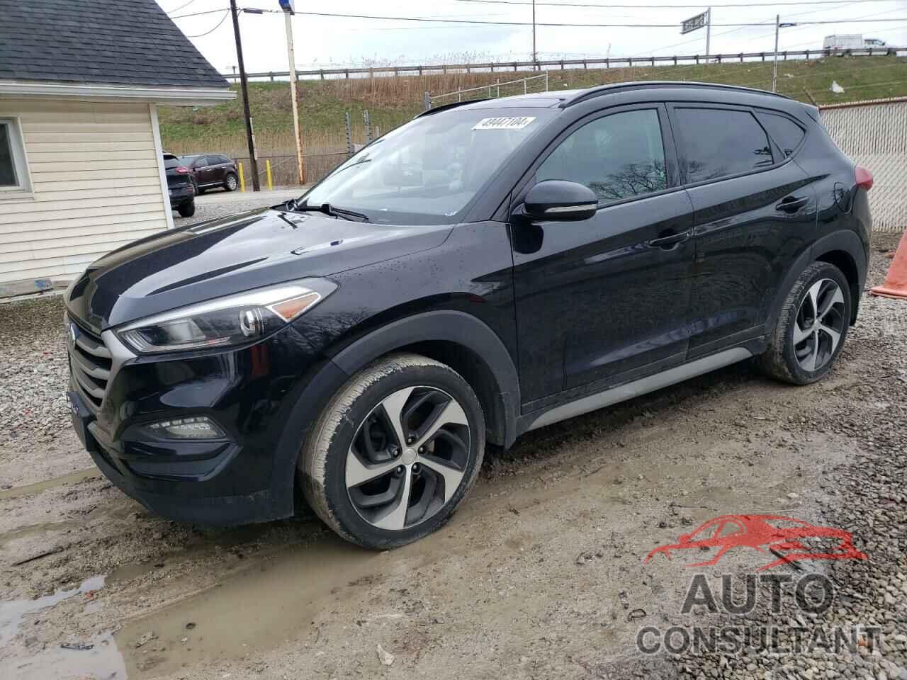 HYUNDAI TUCSON 2017 - KM8J3CA26HU564958