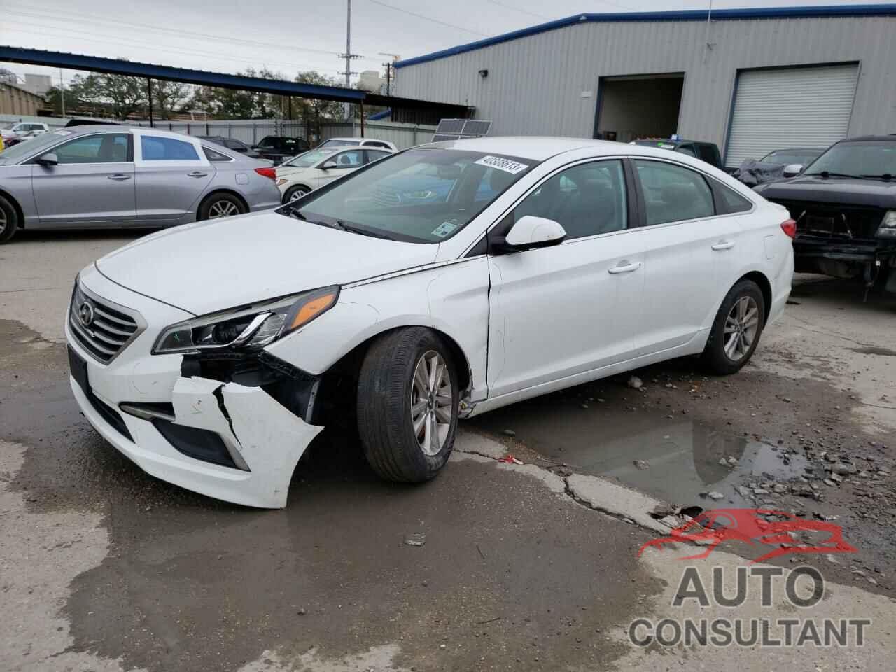 HYUNDAI SONATA 2016 - 5NPE24AF7GH375844