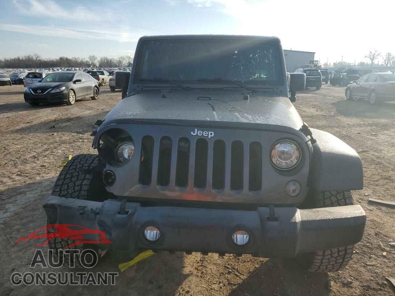 JEEP WRANGLER 2017 - 1C4BJWDG0HL653860