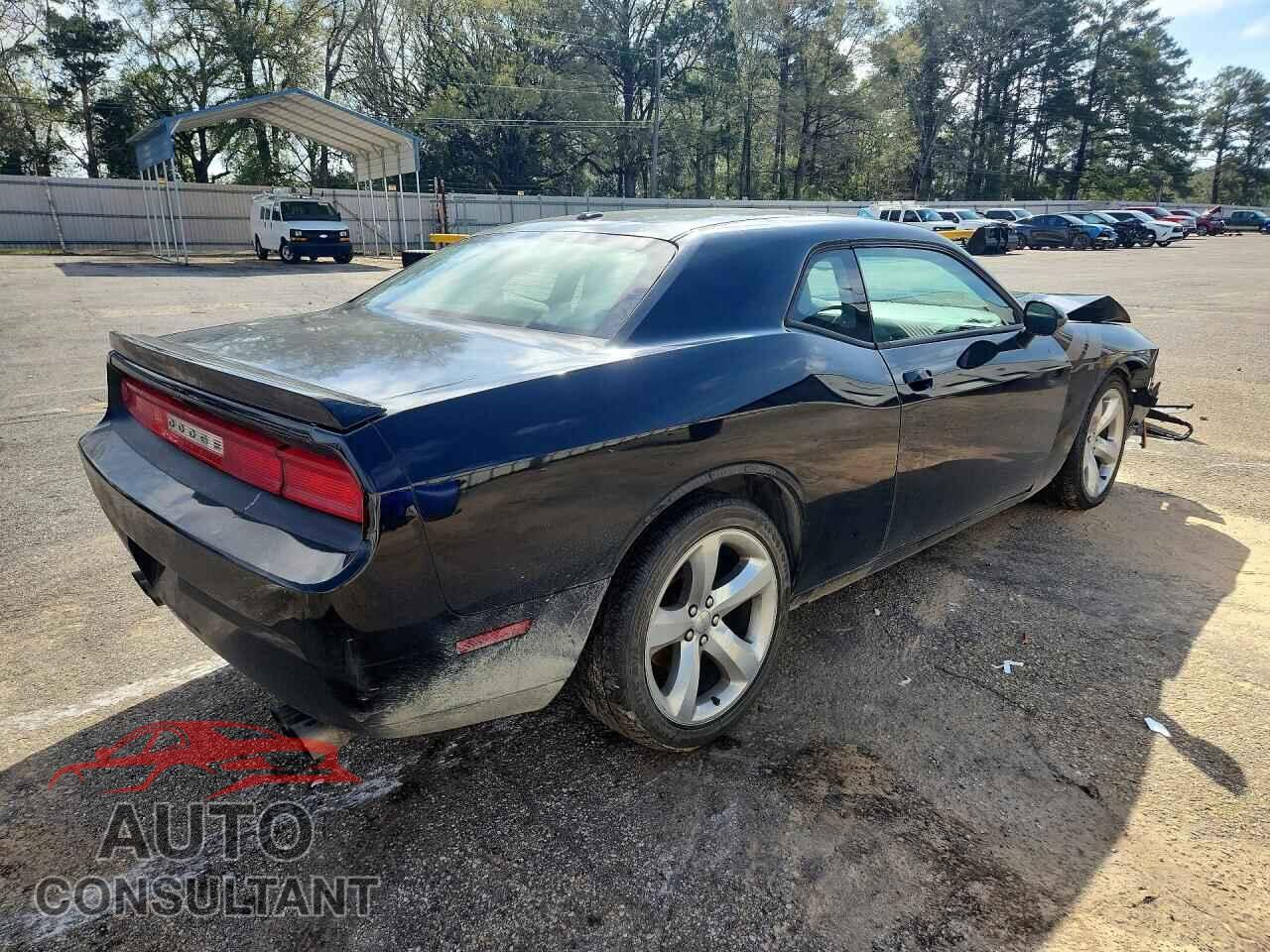 DODGE CHALLENGER 2012 - 2C3CDYBT7CH100754