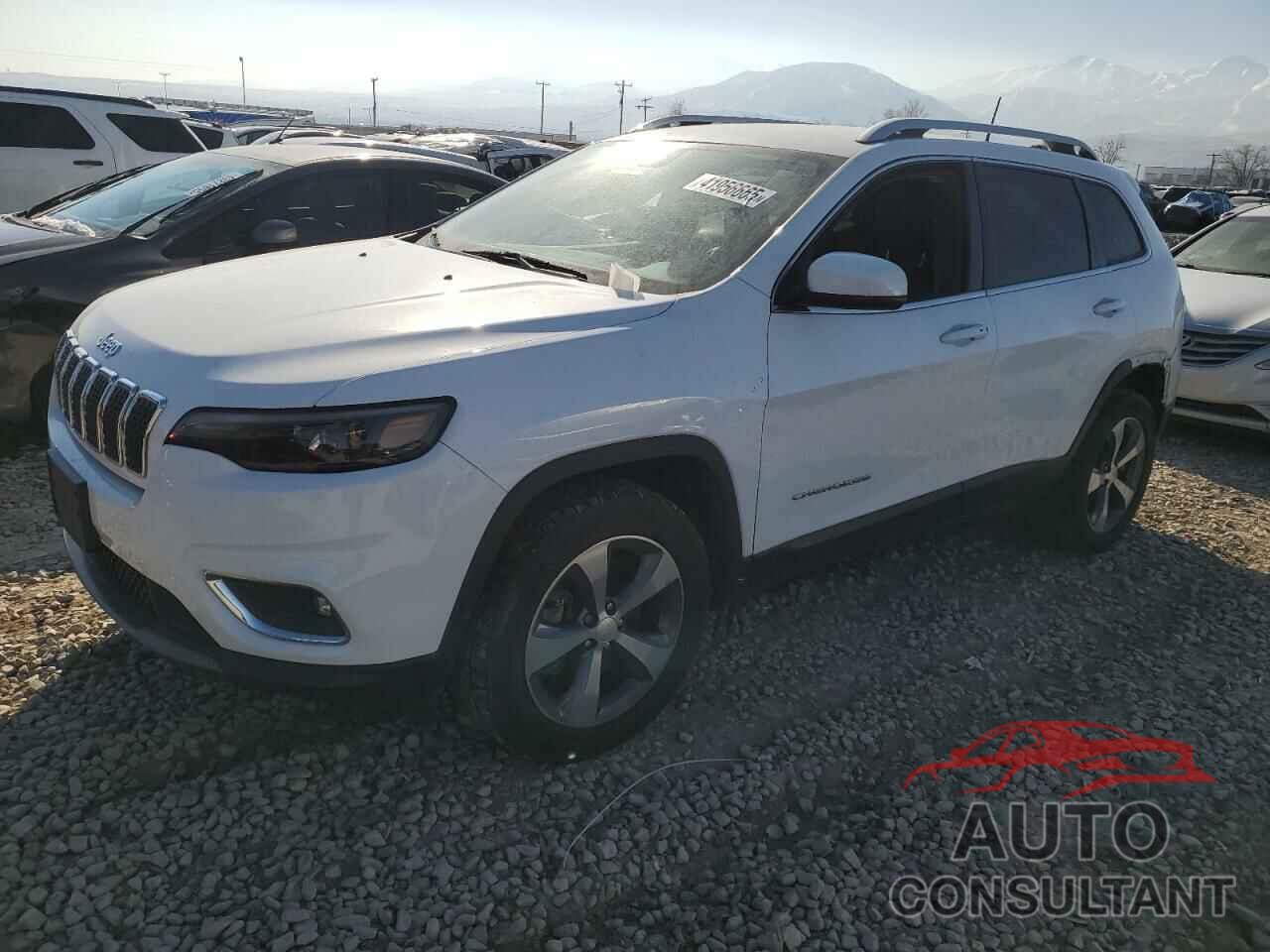 JEEP GRAND CHER 2019 - 1C4PJMDN7KD131009