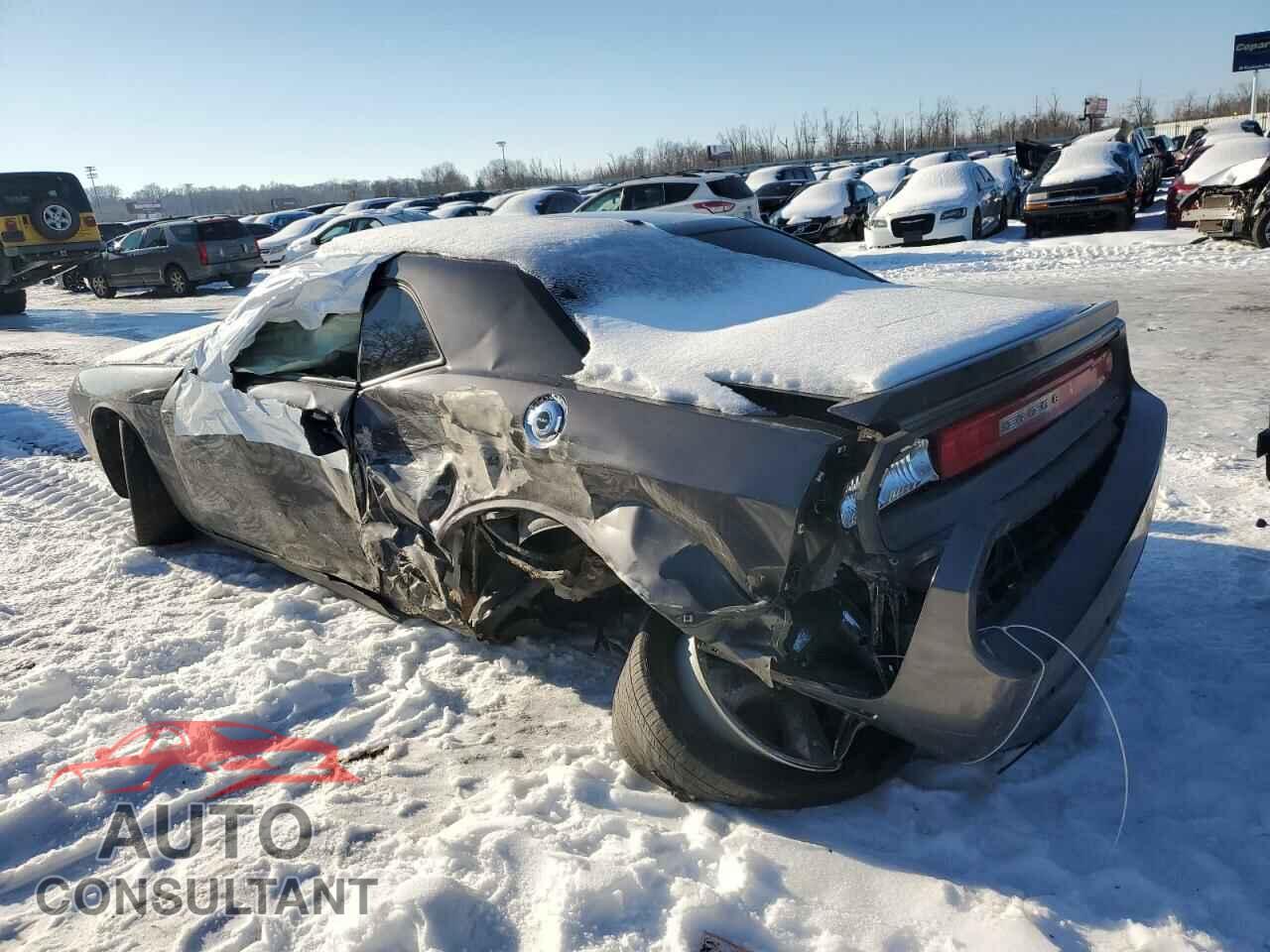 DODGE CHALLENGER 2014 - 2C3CDYAG3EH204522