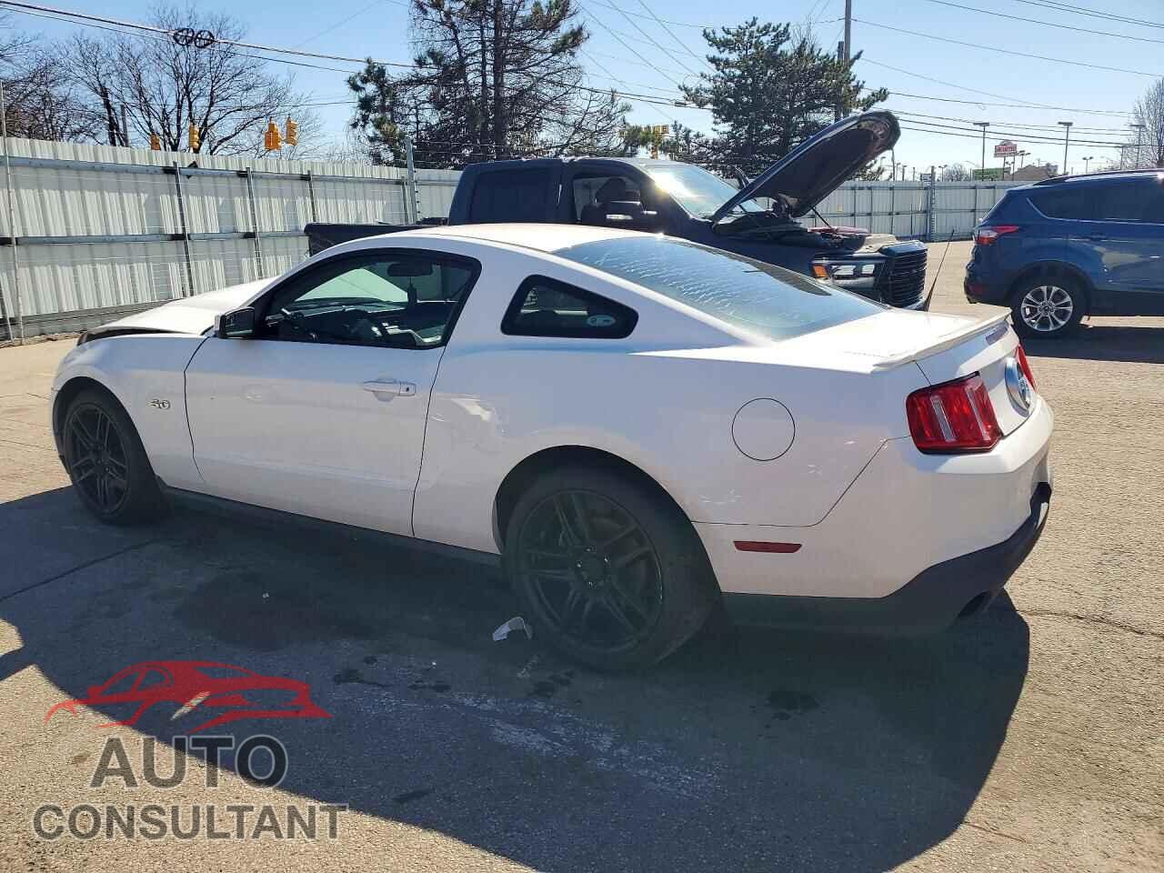FORD MUSTANG 2011 - 1ZVBP8CF5B5122360