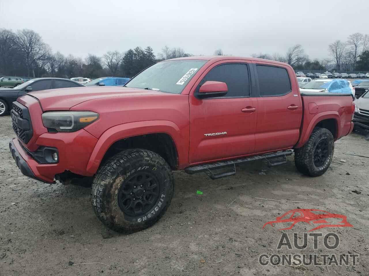 TOYOTA TACOMA 2019 - 3TMCZ5AN8KM254145