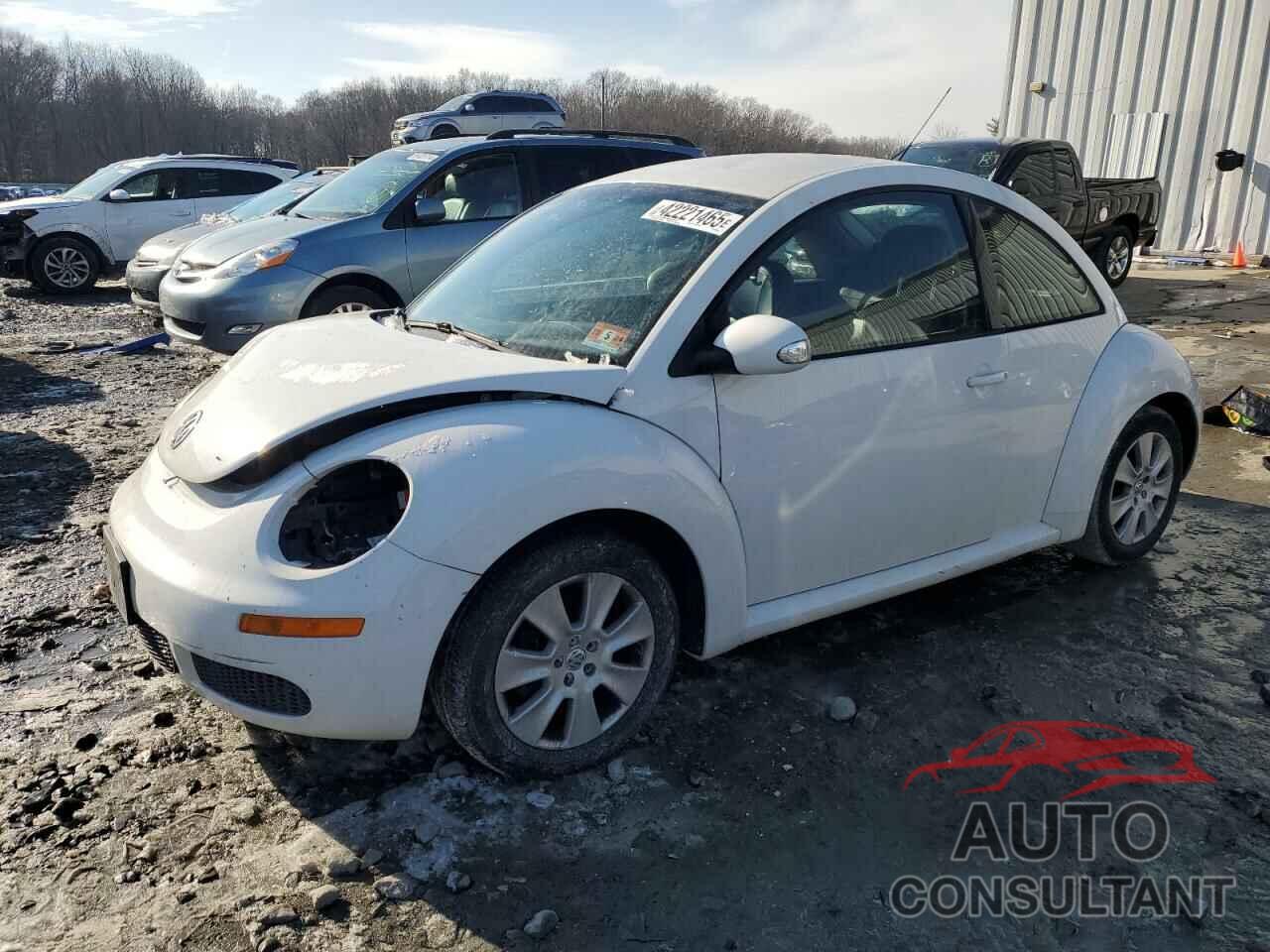 VOLKSWAGEN BEETLE 2009 - 3VWPW31C39M512494