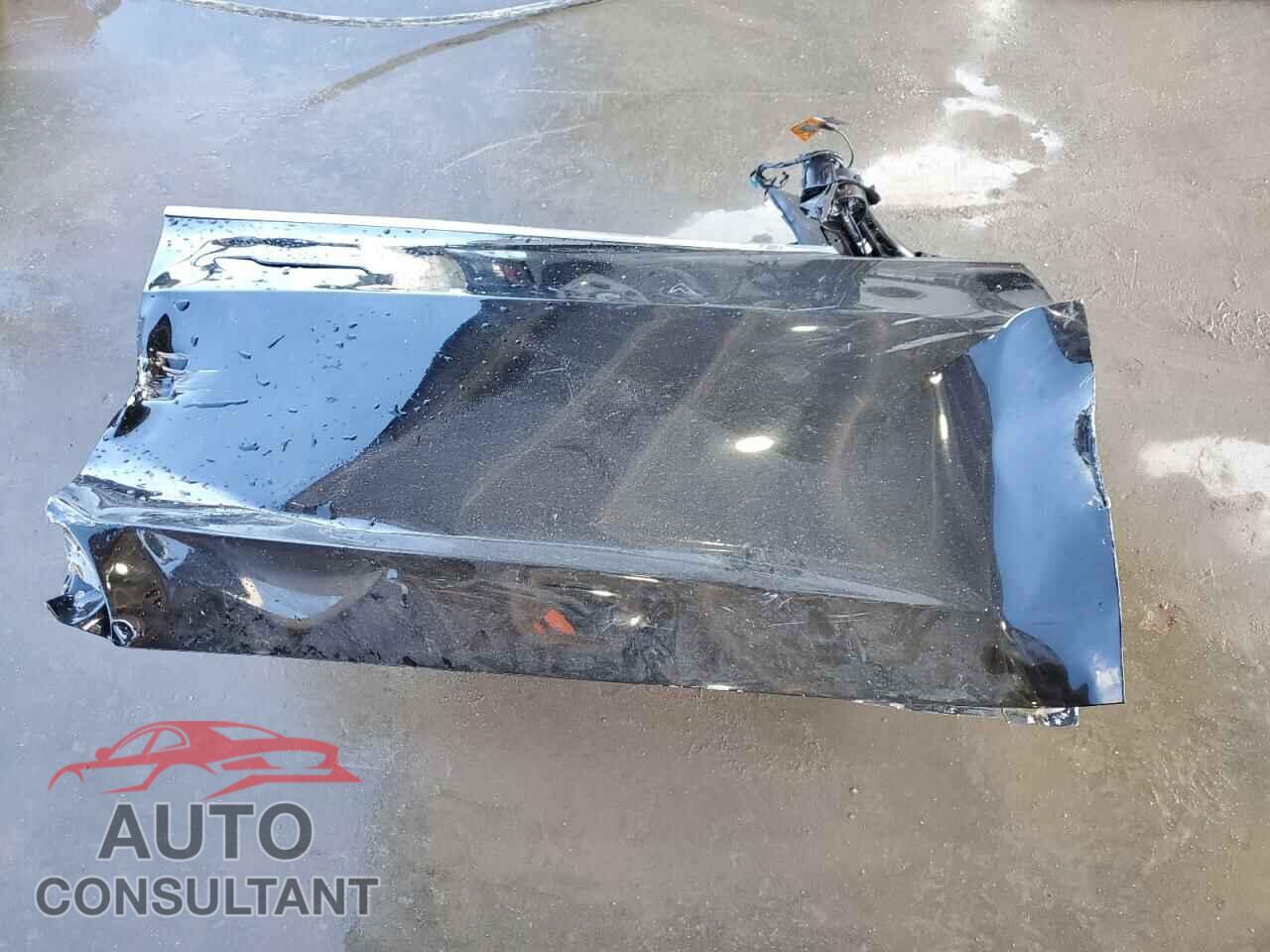 TESLA MODEL 3 2019 - 5YJ3E1EA5KF298099